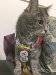 Karim with pins from a Russian LGBT Center